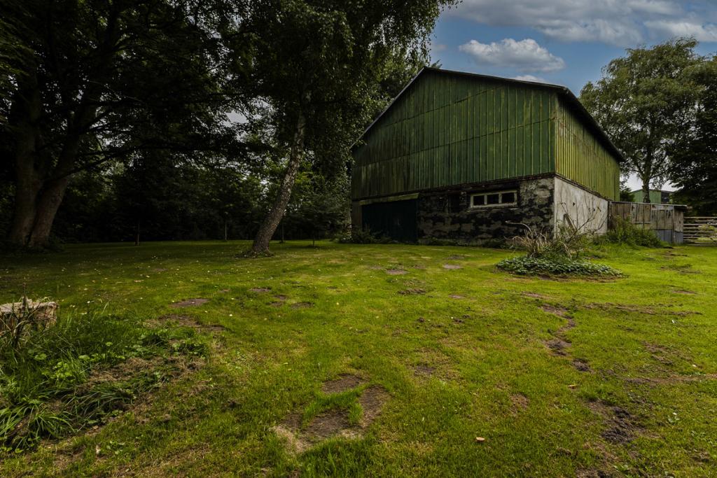 hinterer Gartenbereich Halle