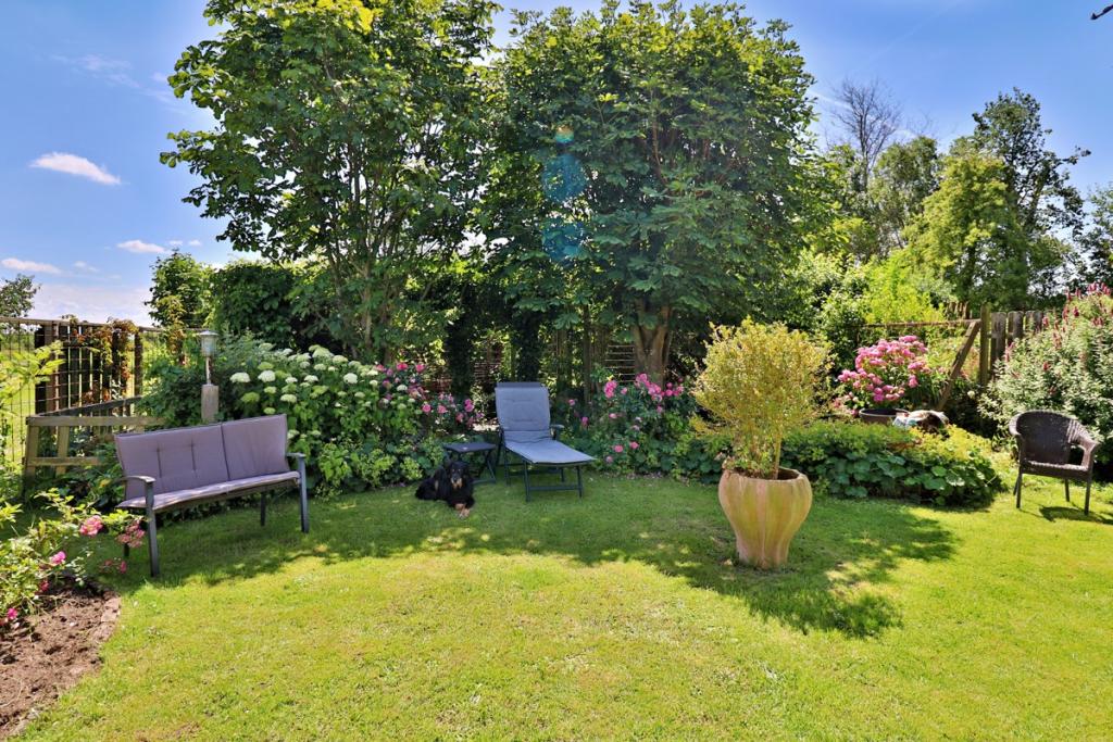 Haus II - Garten