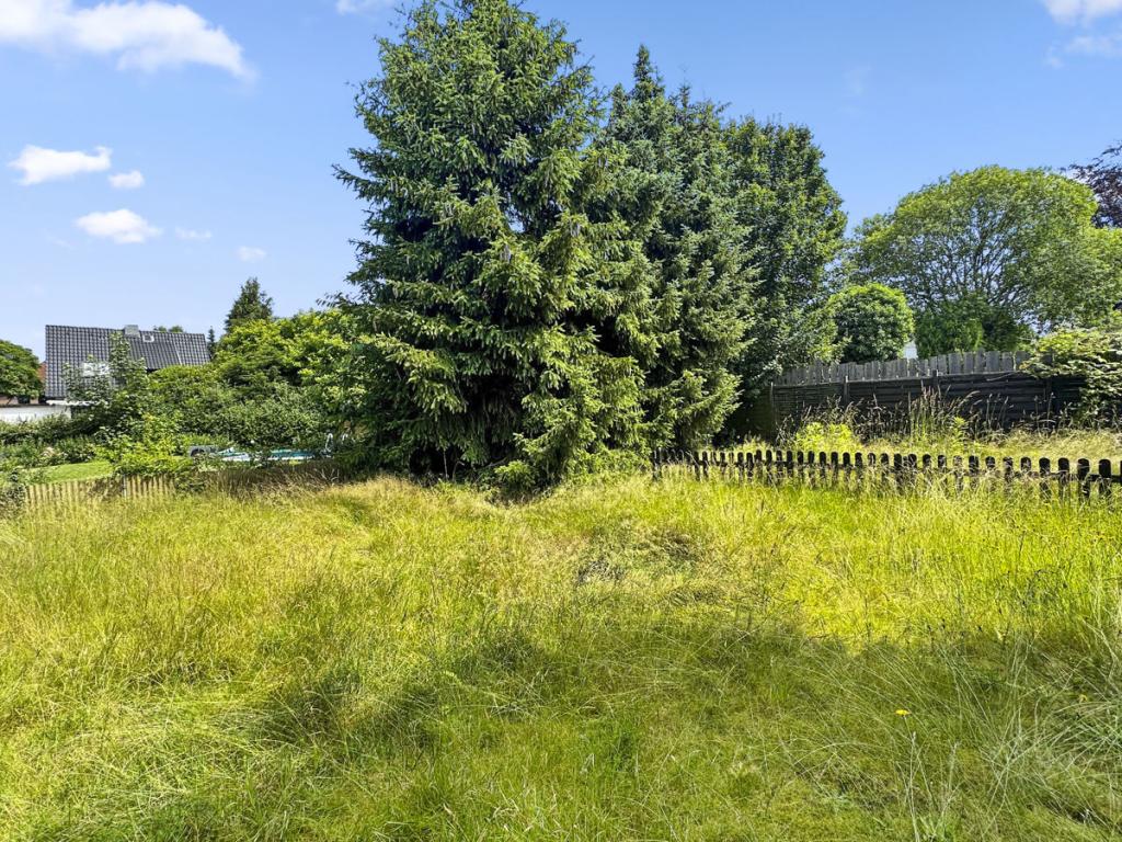 Großer Gartenbereich
