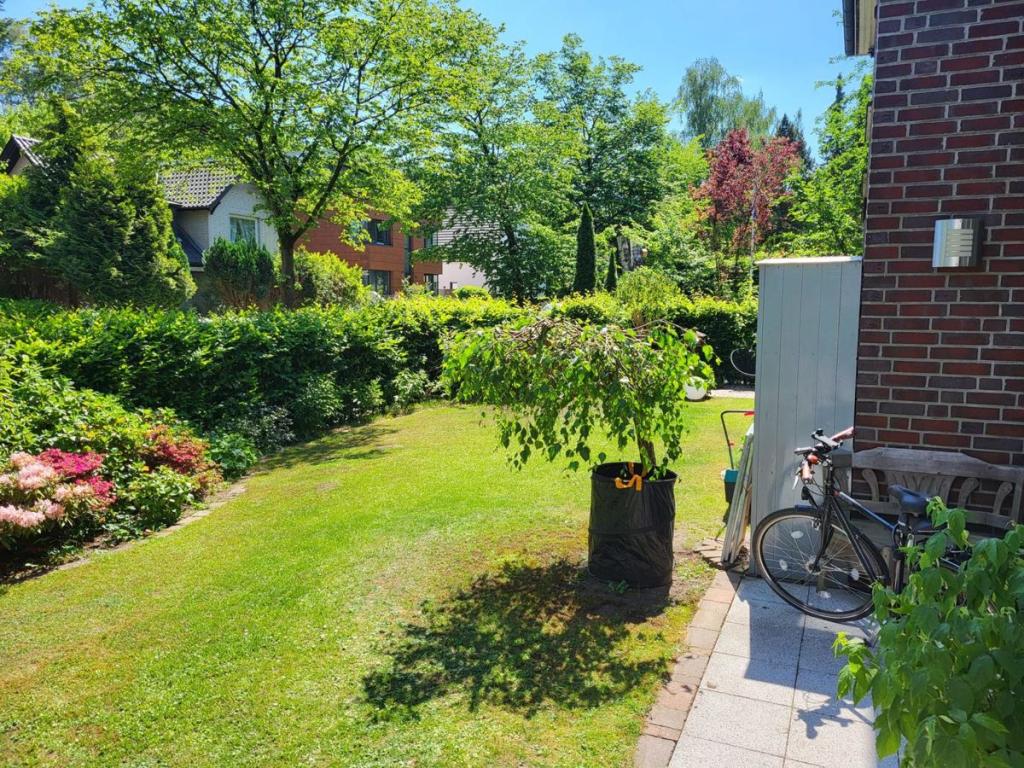 Garten mit grüner Hecke und viel Charakter