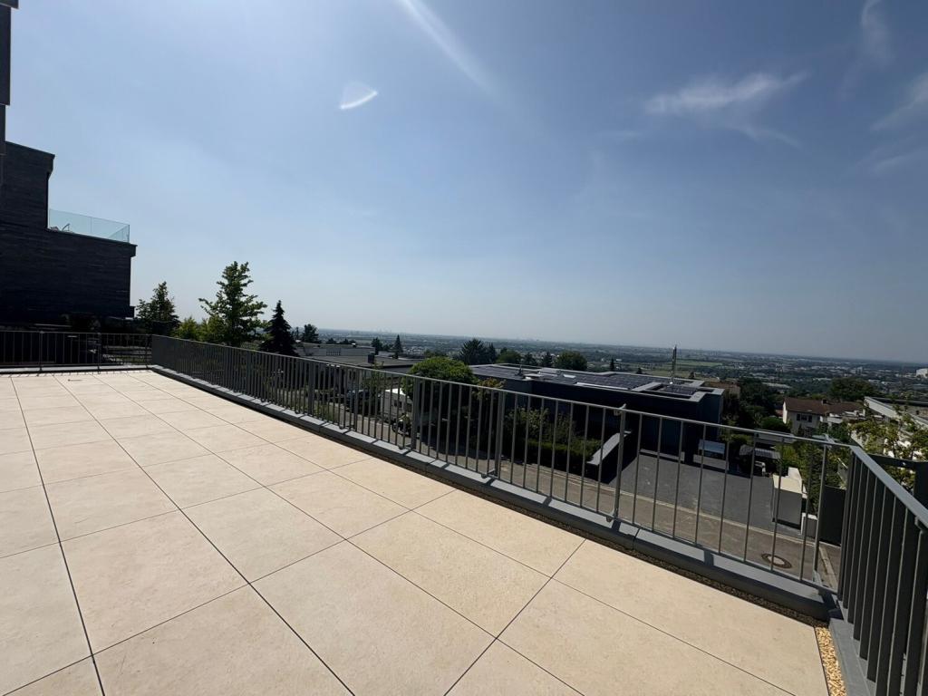 großzügige Terrasse
