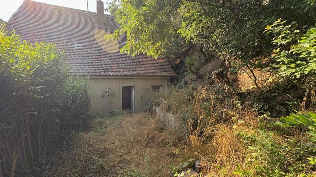 Hausansicht Garten