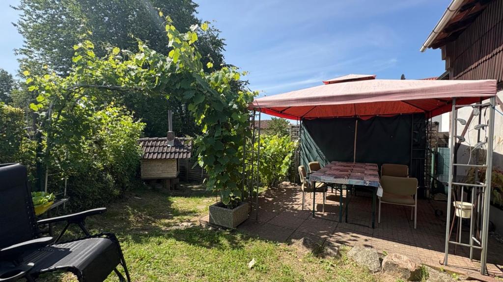 Garten 2