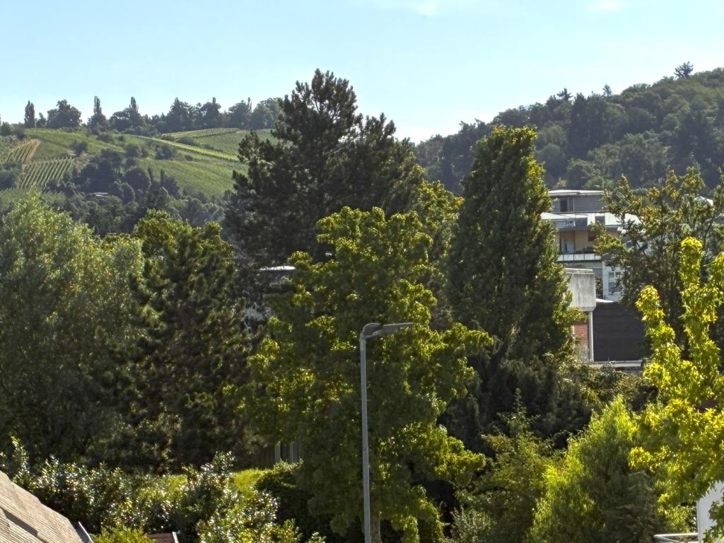 ...wunderschönem Blick