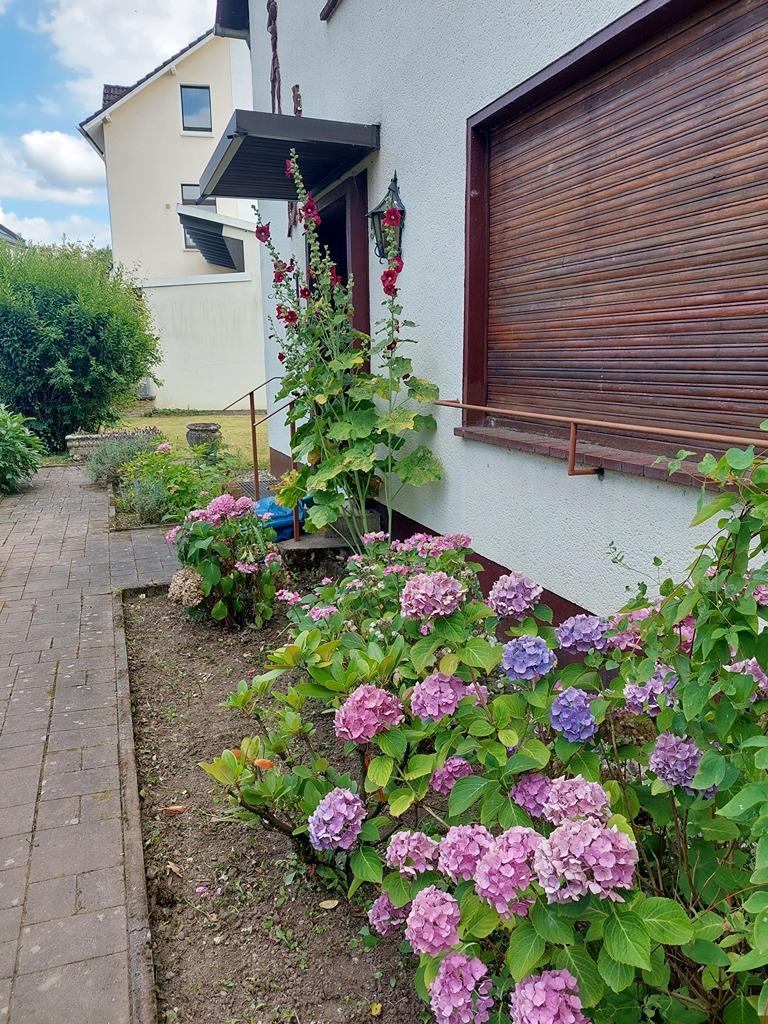 Eingangsbereich (2).jpg