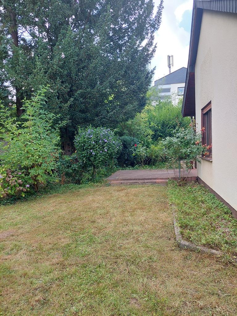 hintere Ansicht.jpg