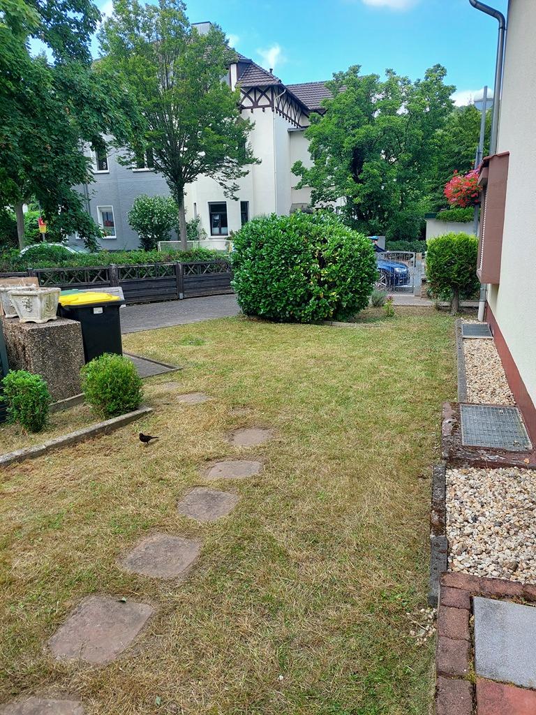 seitlicher Garten.jpg