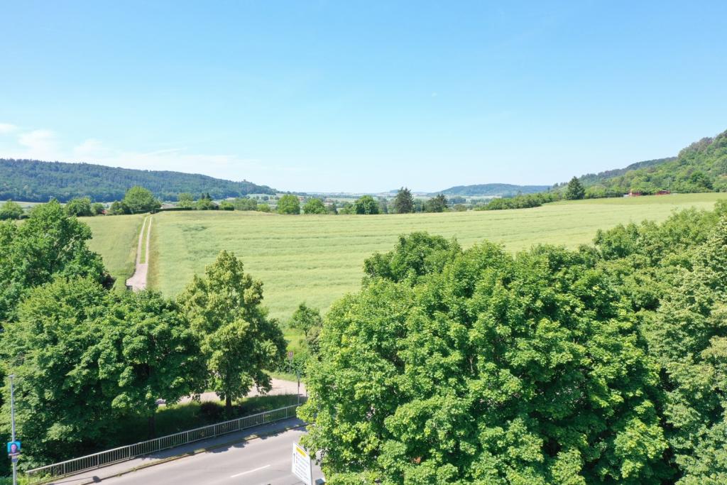 Ausblick DG