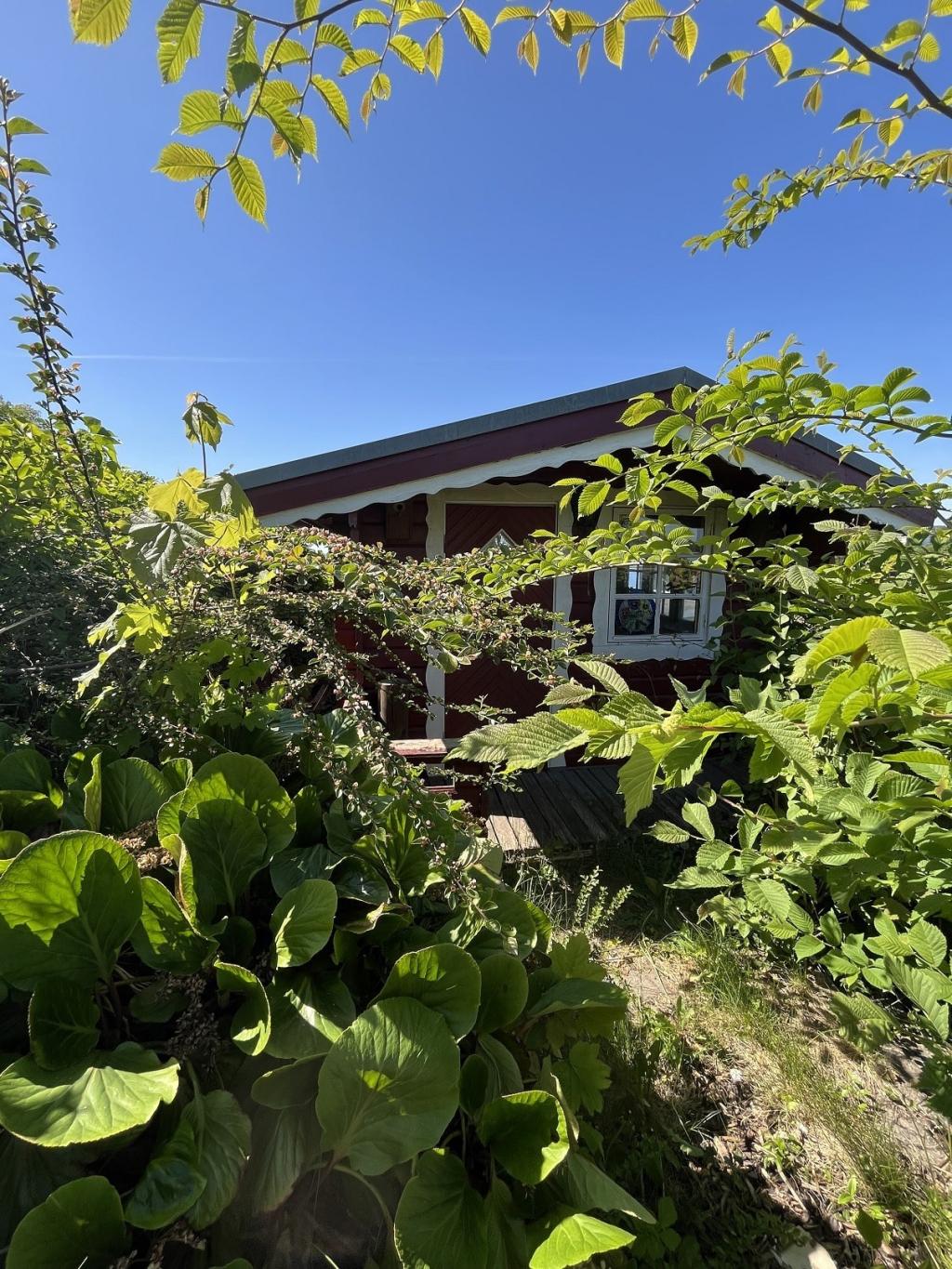 Gartenhütte