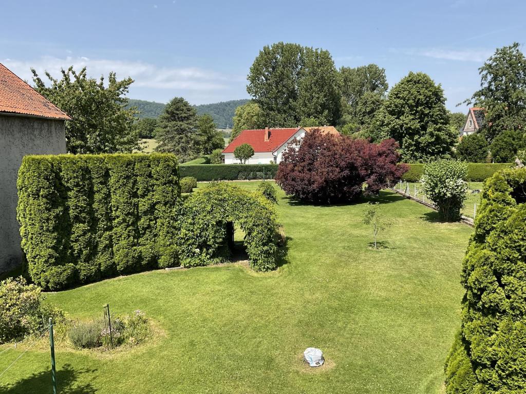Blick in den Garten