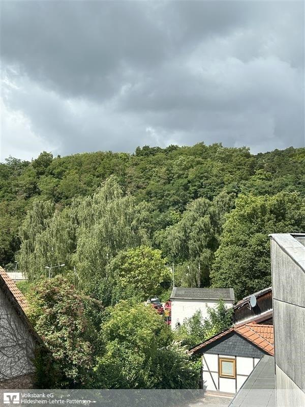 Blick ins Grüne