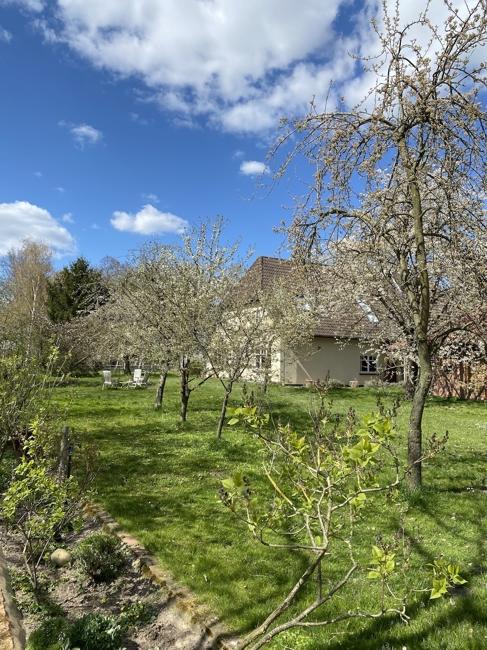 Garten des Anwesens