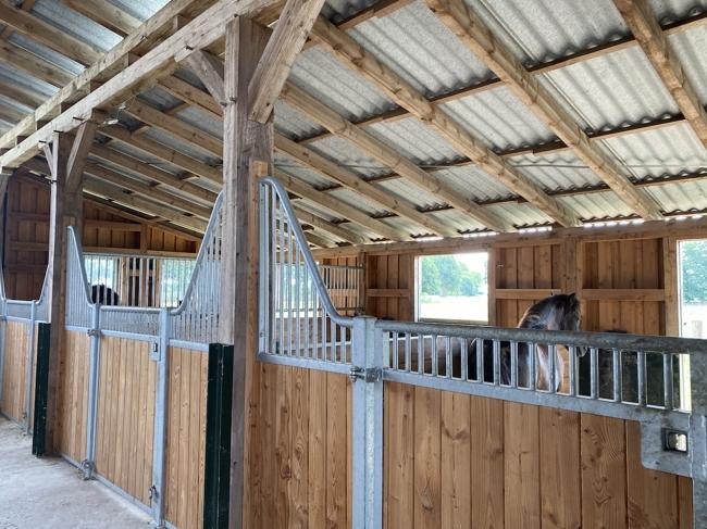 Stallungen ( Boxen )