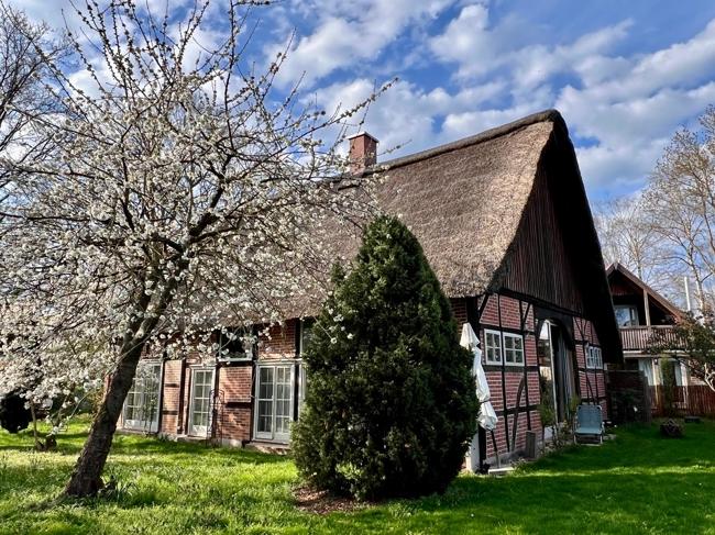 hintere Gartenseite