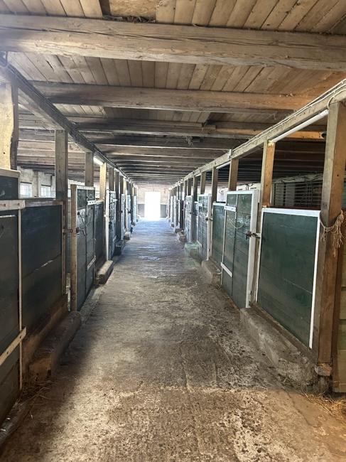 Stallgasse