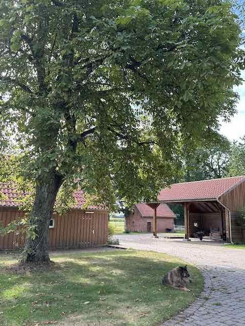 Hofbereich mit Remise