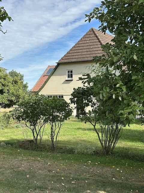 seitliche Gartenansicht