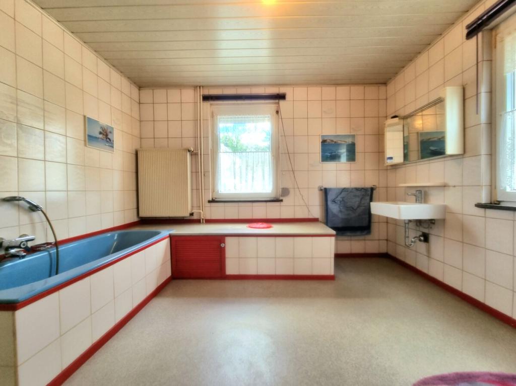 Ballsaalgroßes Badezimmer mit natürlichem Licht
