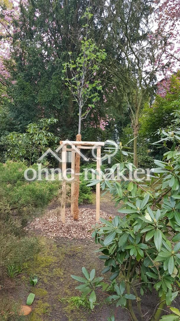 Kernsaniert: Teilmöbliertes kernsaniertes Appartement mit Balkon am Feenteich 2400 qm Garten S/W - Foto 4