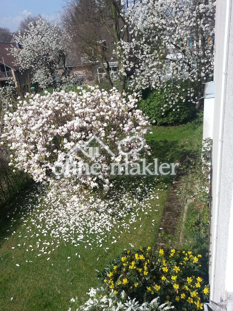Blick vom Balkon nach Westen
