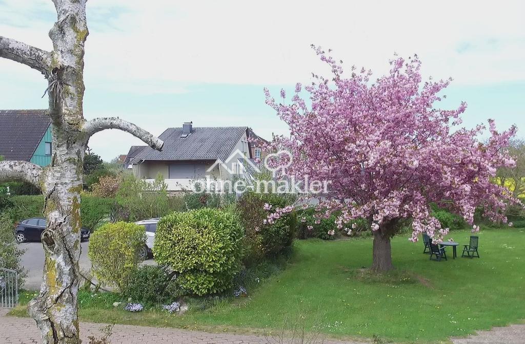 Hinterm Haus Grundstück