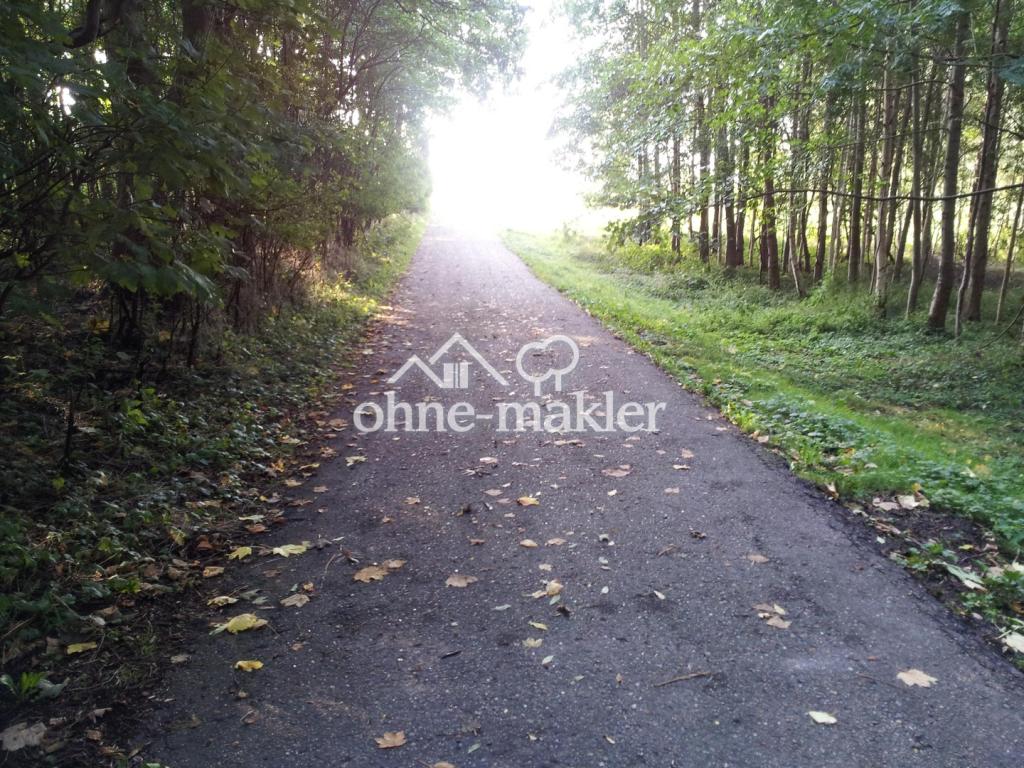 Fussweg zur Schlei