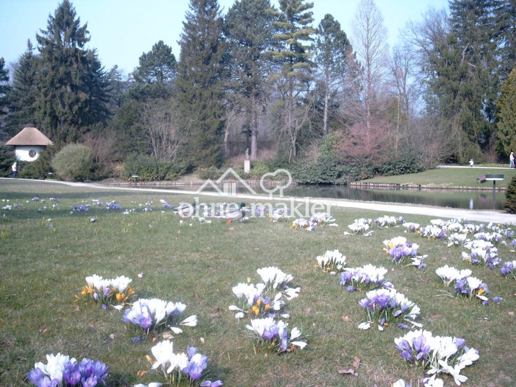 Kurpark Frühling