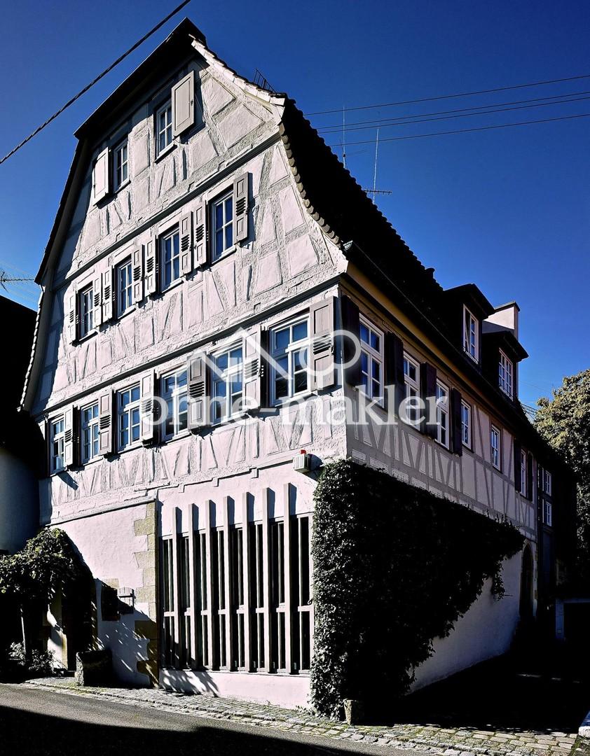 Außenansicht (vorne/seitlich)