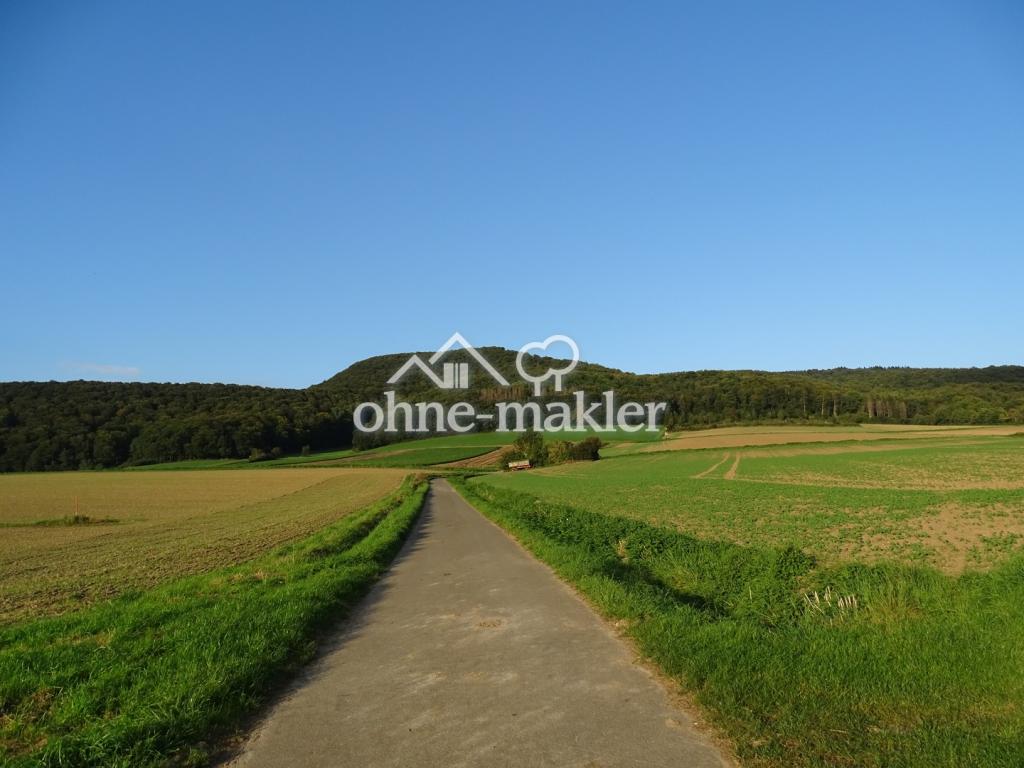 direkt hinterm Haus