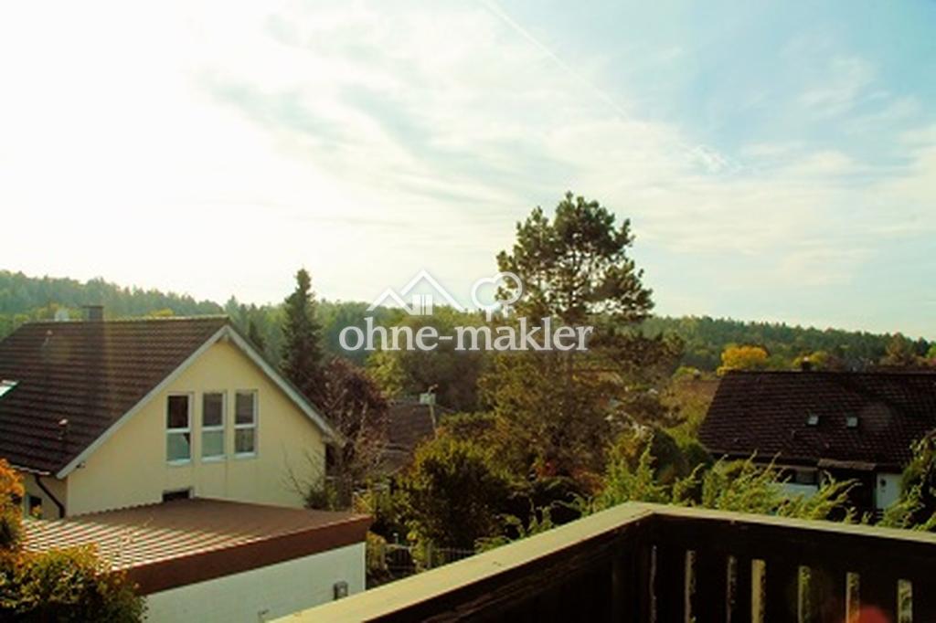 Blick vom Balkon nach SO