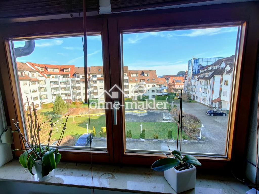 Parkblick
