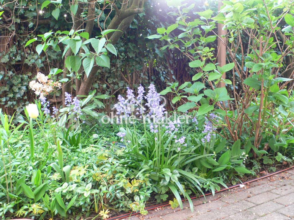 eigener Garten
