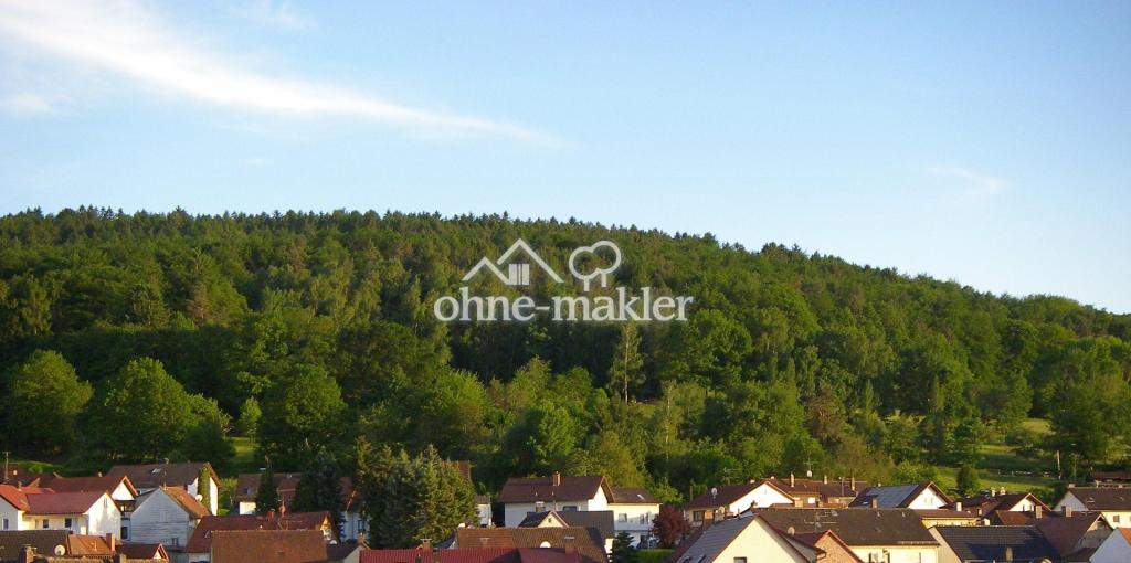 Blick über Eidengesäß