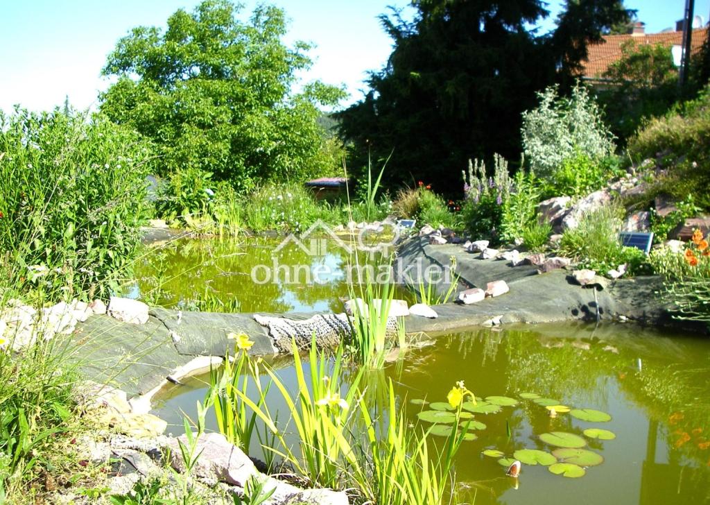 Natur-Garten