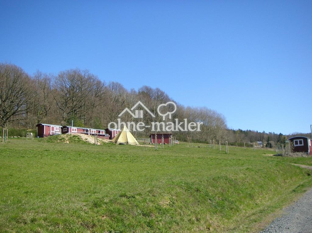 Wald-Kindergarten