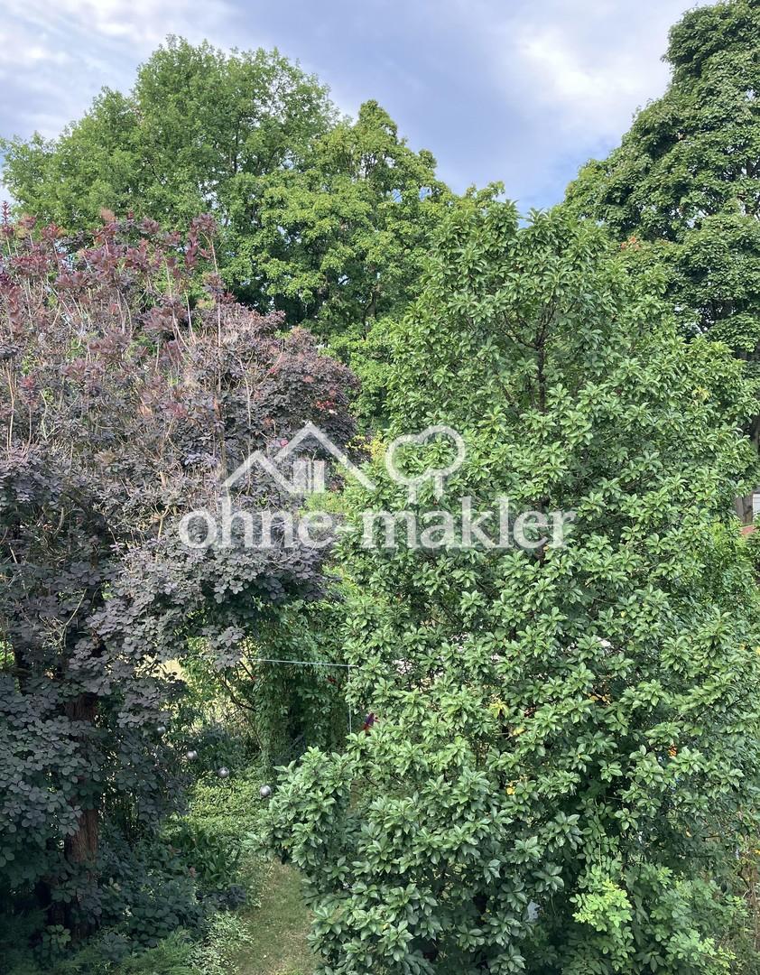 Blick in den Garten