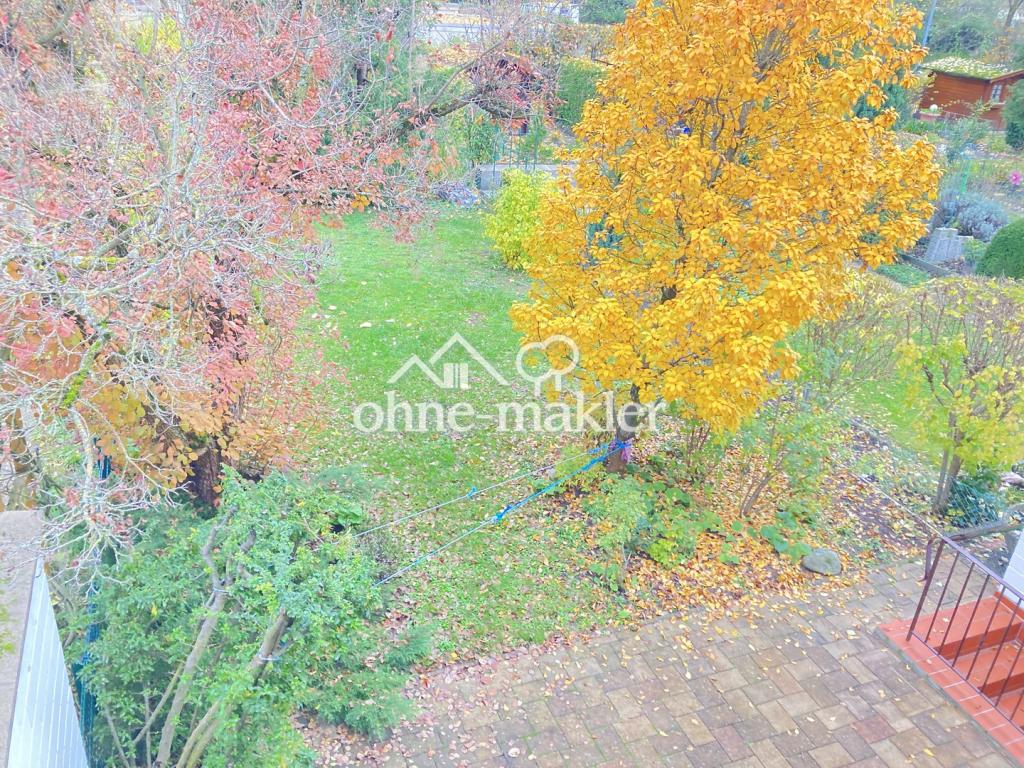 Blick in den Garten