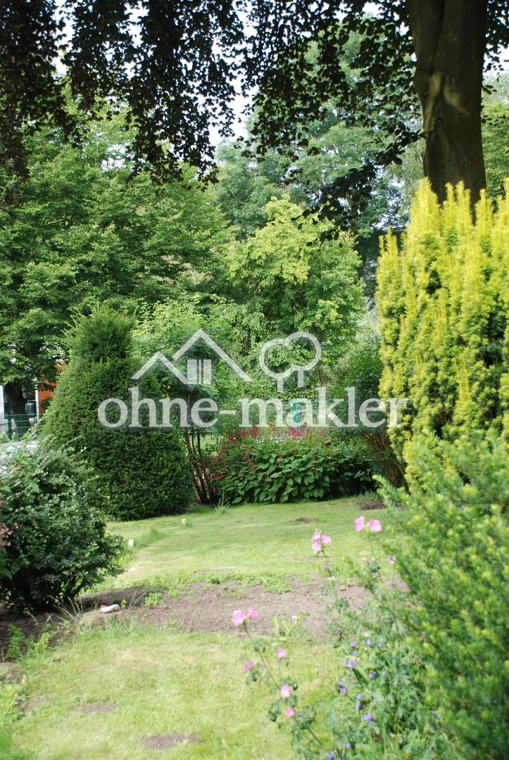 Blick in den Garten
