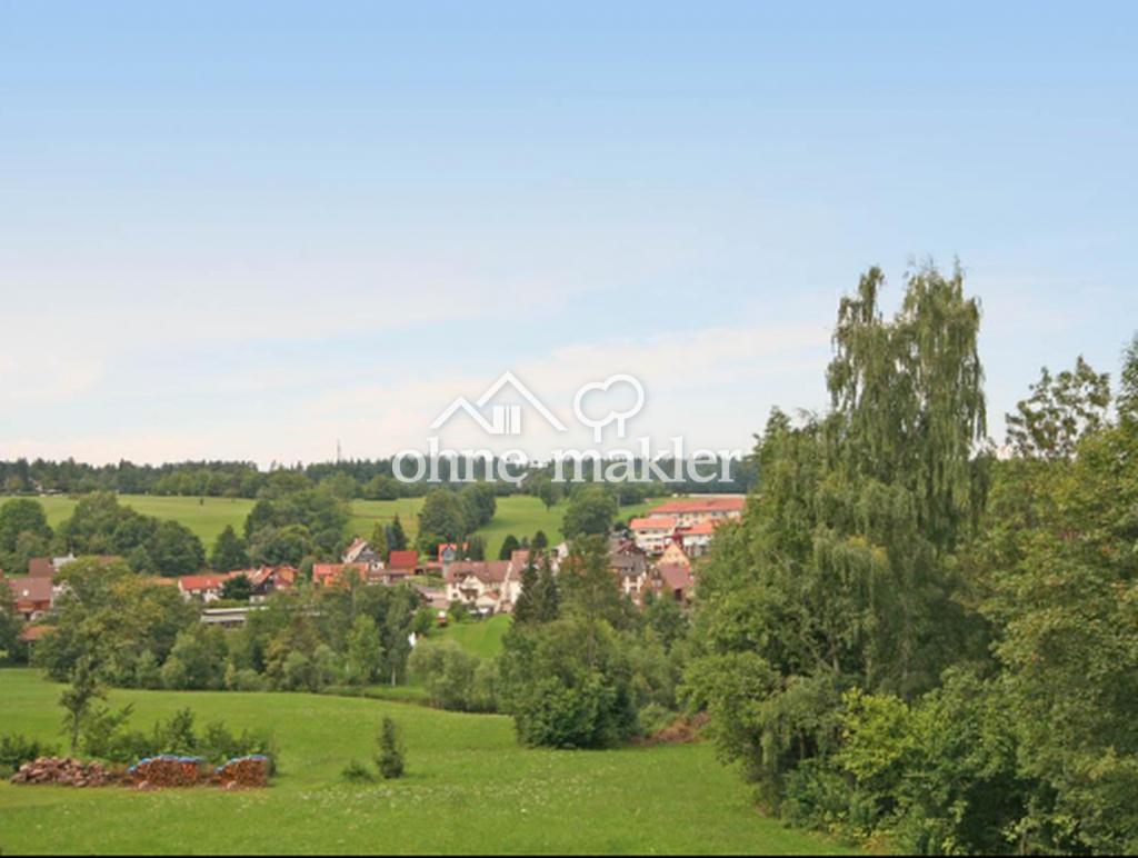 Ausblick 
