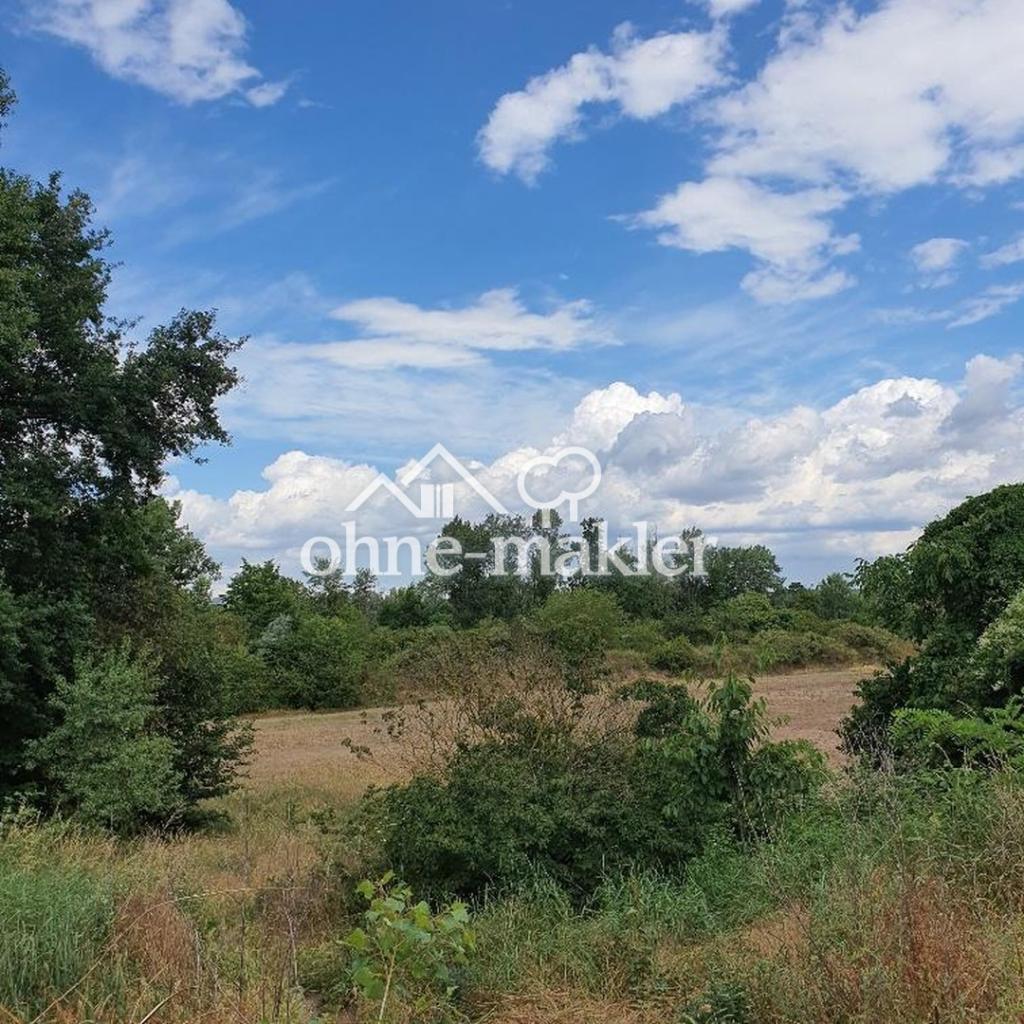 Naherholungsgebiet Rheinau-See