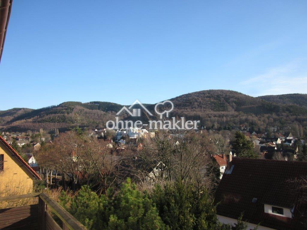 Panoramawohnung mit Saunabad & Kaminofen – Wohnen über den Dächern von Bad Harzburg - Photo 5