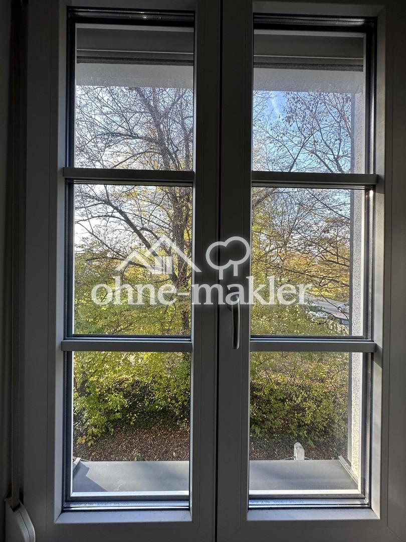 Blick ins Grüne 
