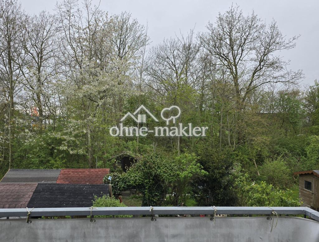 Blick vom Balkon ins Grüne