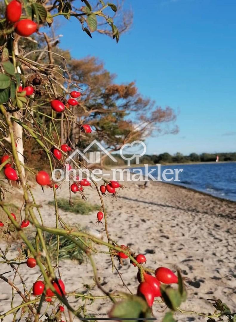 Hausstrand Palmer Ort
