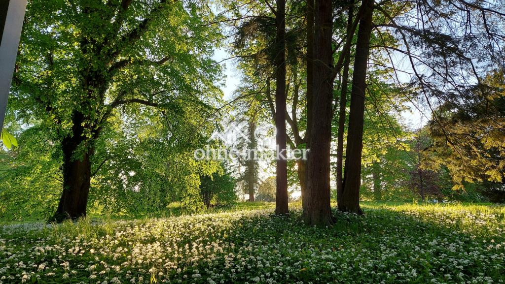 Putbus Park