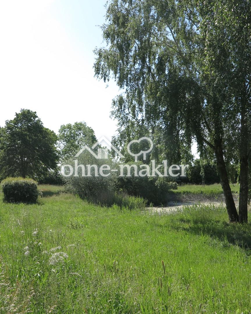 Dorfteich / Grdst. re. Seite