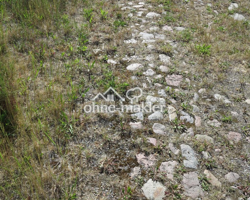 gepflasterte Wege rund um's H.