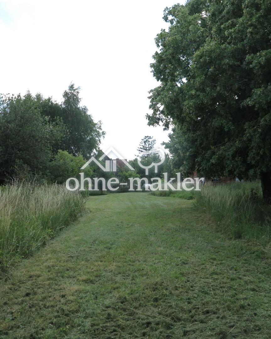 Feld & Flur (gemähter Weg)