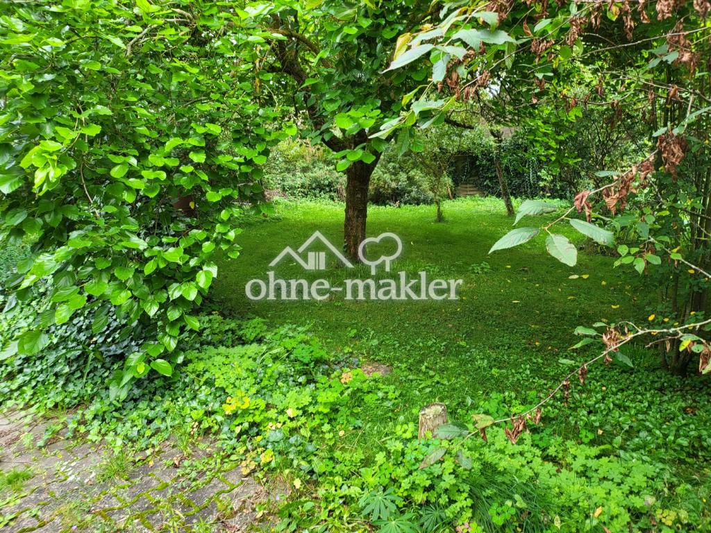 Offen - Hell - Besonders - Foto 2