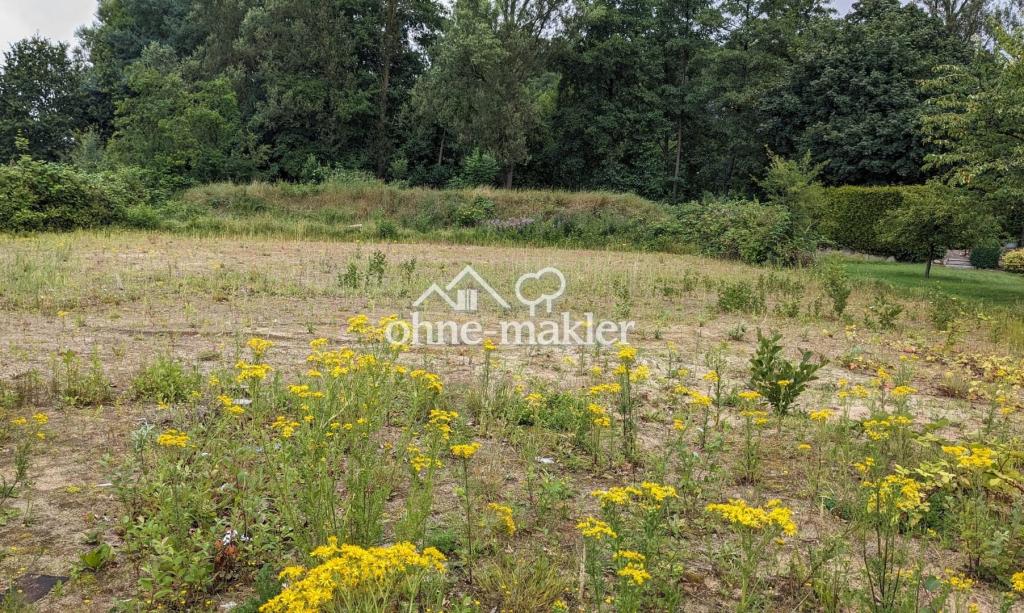 Grundstück